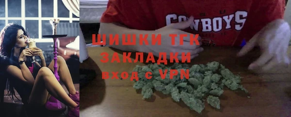 дмт Новозыбков