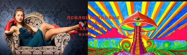 кокаин Новокубанск