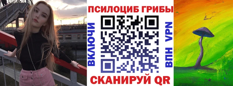 Галлюциногенные грибы мухоморы  купить   мега ссылки  Пучеж 